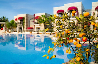 Bodrium Hotel & SPA Genel 3